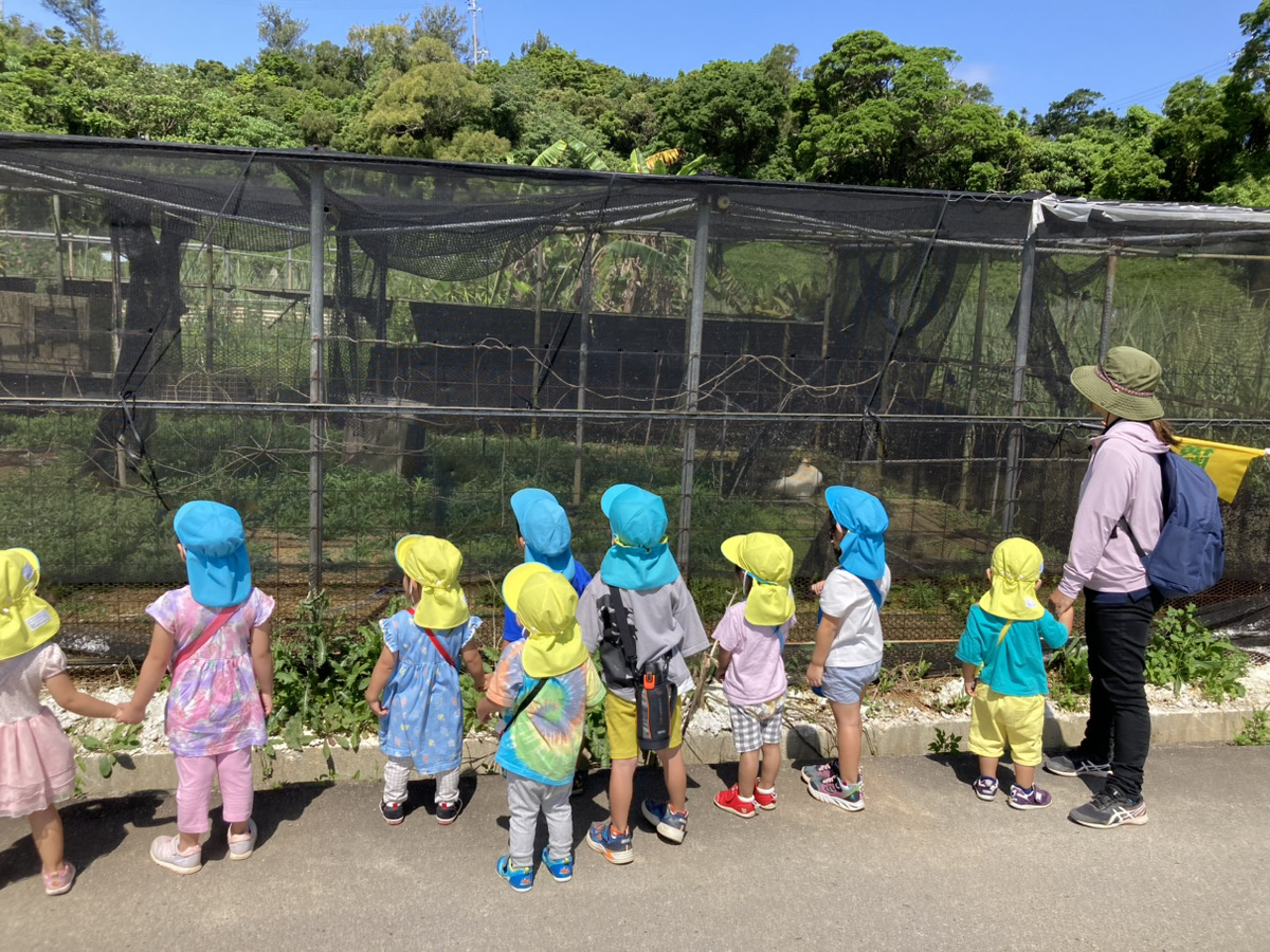 恩納保育所？ダウンロード (4)